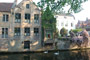 Houses in Bruges, with dog looking out a window at swans 